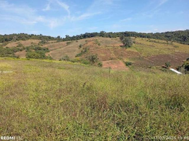 Sítio e chácara venda em Coronel Xavier Chaves, Região Geográfica Intermediária de Juiz de Fora