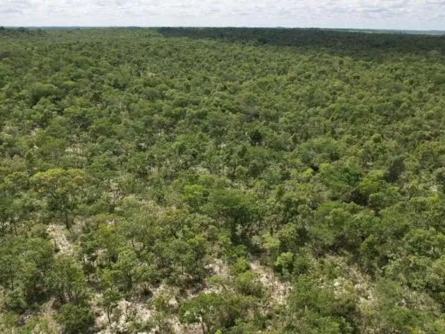 Fazenda venda em Corrente, Região Nordeste