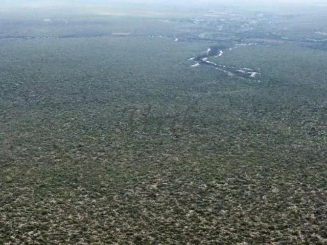 Fazenda venda em Correntina, Região Nordeste