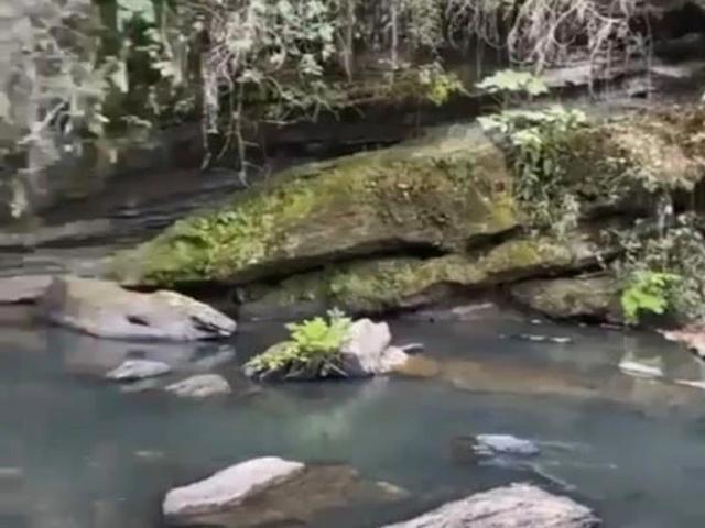 Fazenda venda em Corumbá de Goiás, Região Geográfica Intermediária de Goiânia