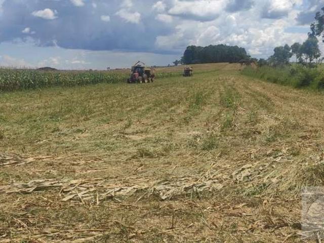 Fazenda venda em Região Geográfica Imediata de Anápolis, Região Integrada de Desenvolvimento do Distrito Federal e Entorno