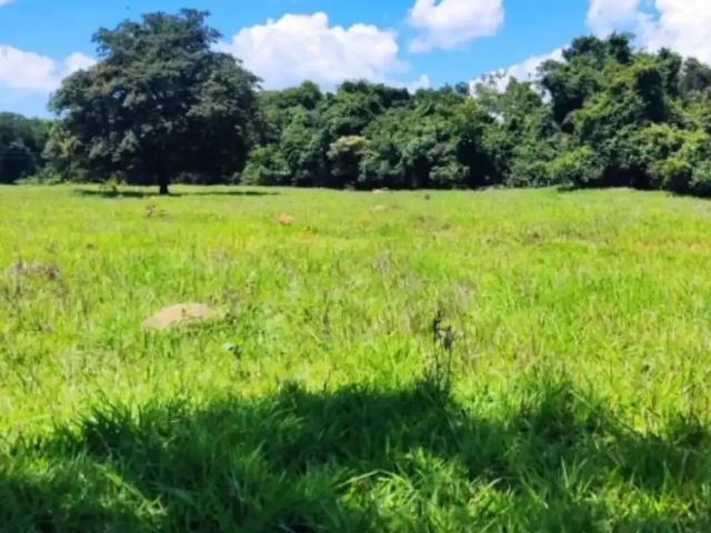 Fazenda venda em Corumbá de Goiás, Goiás