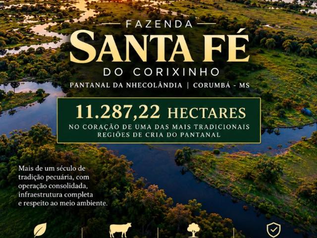 Fazenda venda em Centro, Corumbá