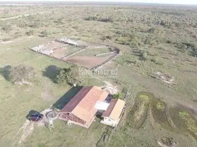 Fazenda venda em Região Geográfica Imediata de Corumbá, Corumba