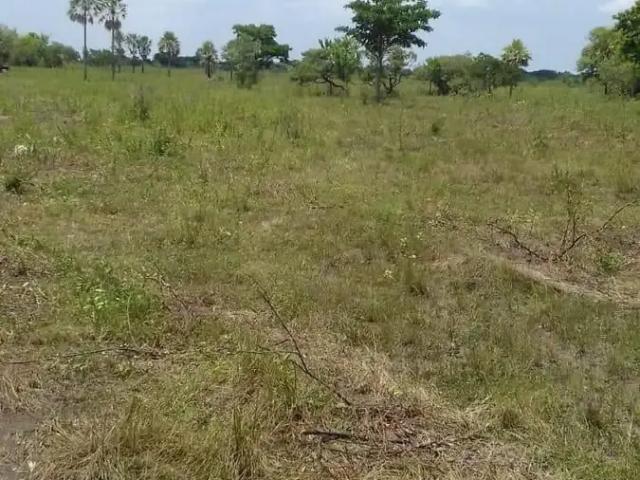 Fazenda venda em Centro, Corumbá
