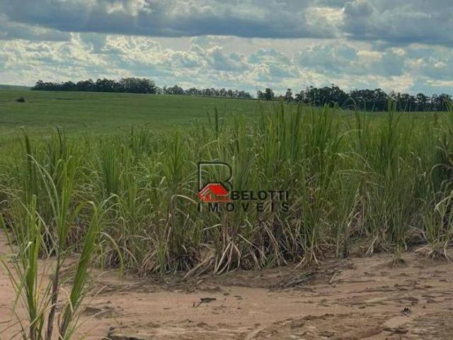 Sítio e chácara venda em Região Imediata de Rio Claro, Região Metropolitana de Piracicaba