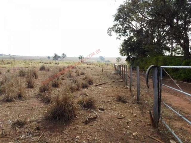 Fazenda venda em Cosmópolis, Região Geográfica Intermediária de Campinas