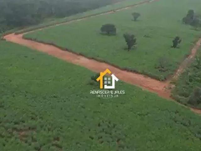 Fazenda venda em Região Imediata de Votuporanga, Cosmorama