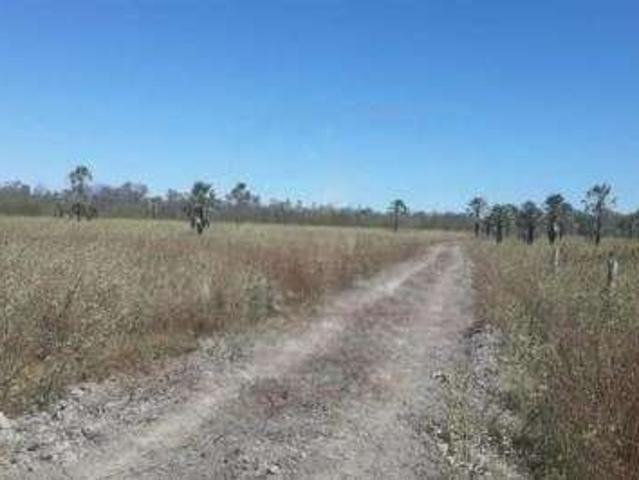 Fazenda venda em Região Geográfica Imediata de Barreiras, Cotegipe