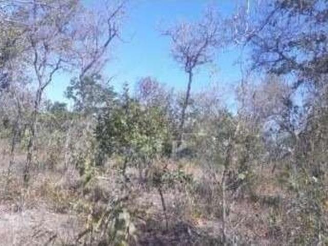 Fazenda venda em Região Geográfica Imediata de Barreiras, Cotegipe
