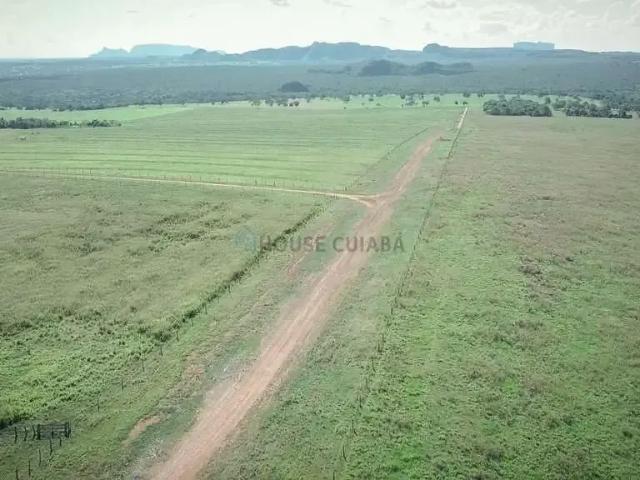 Fazenda venda em Região Geográfica Imediata de Juína, Cotriguaçu