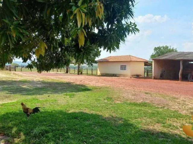 Fazenda venda em Abaré, Região Nordeste