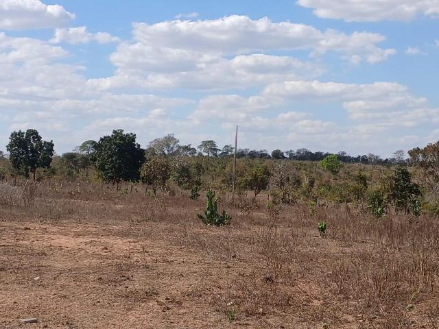 Fazenda venda em Coxim