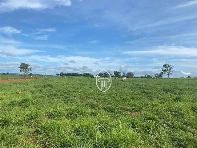 Fazenda venda em Região Geográfica Imediata de Londrina, Ibiporã