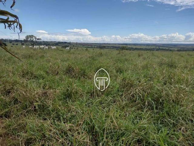 Fazenda venda em Região Geográfica Imediata de Londrina, Ibiporã