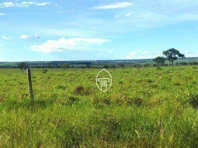 Fazenda venda em Região Geográfica Imediata de Londrina, Ibiporã