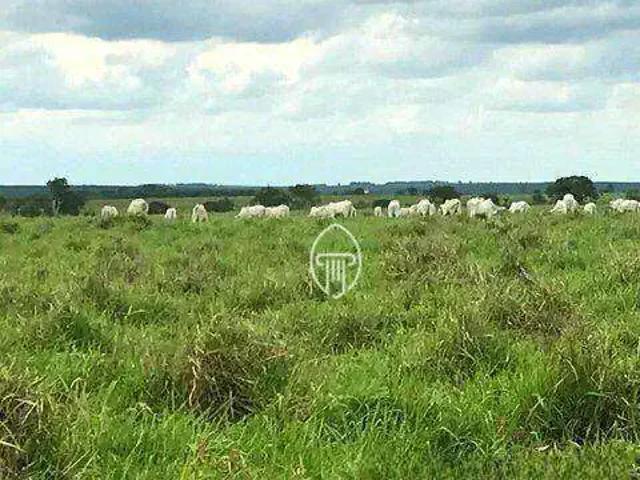 Fazenda venda em Região Geográfica Imediata de Londrina, Ibiporã