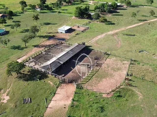 Fazenda venda em Região Geográfica Imediata de Londrina, Ibiporã
