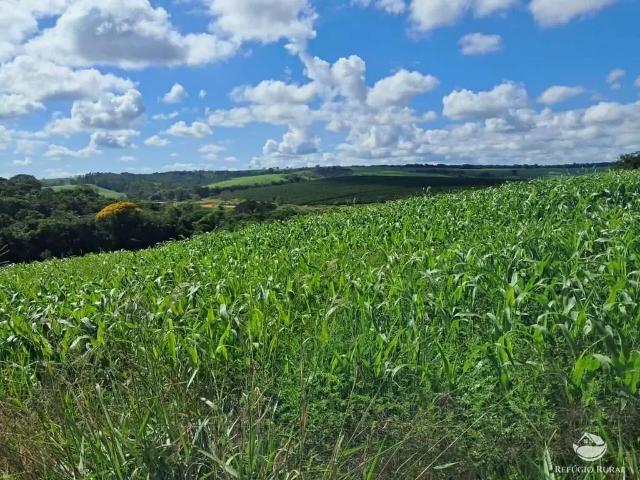 Fazenda venda em Região Geográfica Imediata de Campo Belo, Cristais
