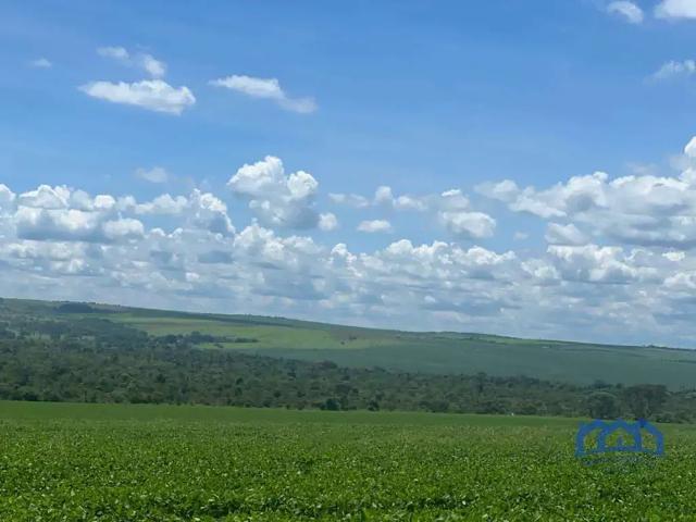 Fazenda venda em Região Geográfica Imediata de Luziânia, Região Integrada de Desenvolvimento do Distrito Federal e Entorno