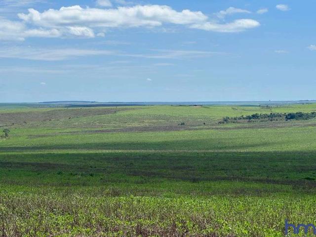 Fazenda venda em Região Imediata de Jales, Dirce Reis