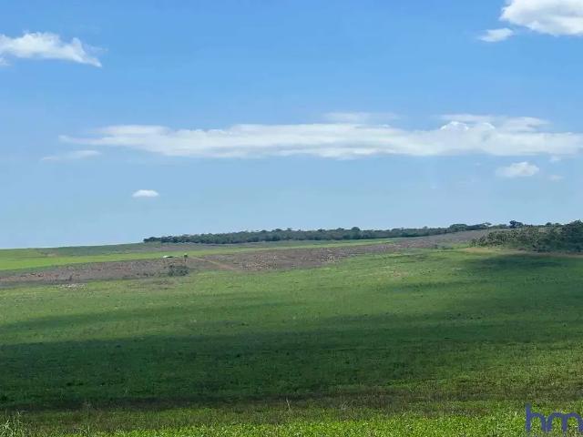 Fazenda venda em Região Imediata de Jales, Dirce Reis