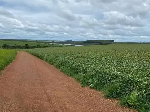 Fazenda venda em Região Geográfica Imediata de Luziânia, Região Integrada de Desenvolvimento do Distrito Federal e Entorno