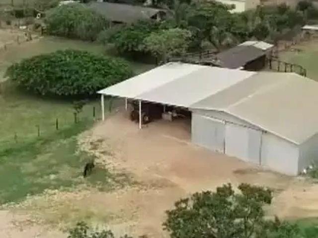 Fazenda venda em Região Geográfica Imediata de Luziânia, Região Integrada de Desenvolvimento do Distrito Federal e Entorno