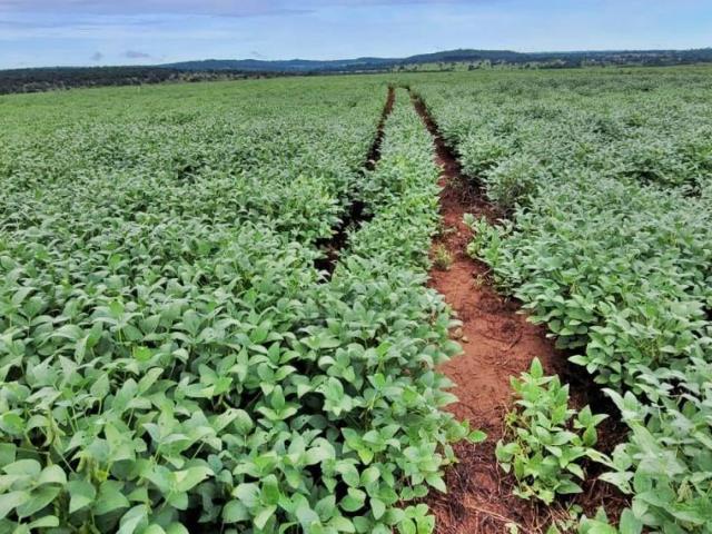 Fazenda venda em Centro, Cristalina