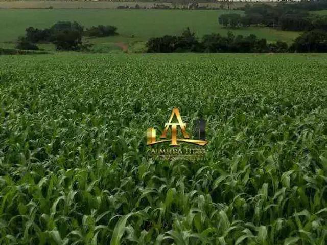 Fazenda venda em Itanhaém