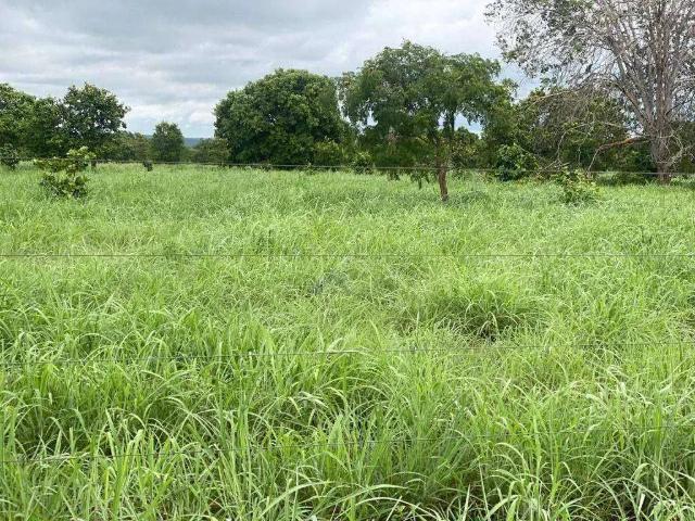 Fazenda venda em Região Geográfica Imediata de Gurupi, Crixas do Tocantins