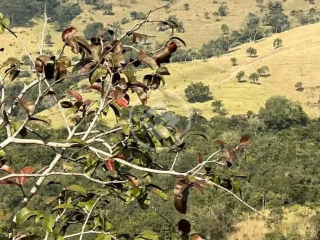 Fazenda venda em Região Geográfica Imediata de Rio Verde, Rio Verde