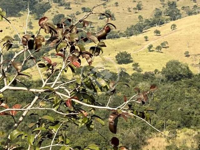 Fazenda venda em Região Geográfica Imediata de Rio Verde, Rio Verde