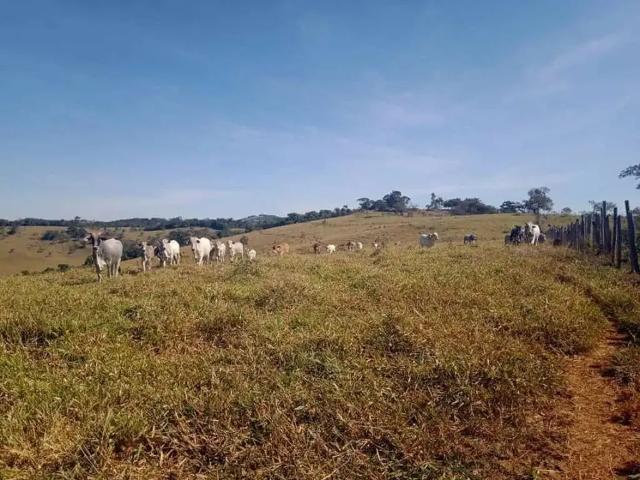 Fazenda venda em Região Geográfica Imediata de Juiz de Fora, Juiz de Fora