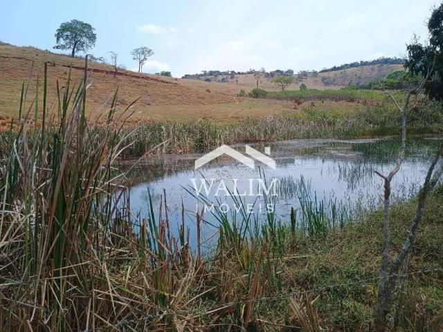 Fazenda venda em Região Geográfica Imediata de Oliveira, Crucilândia