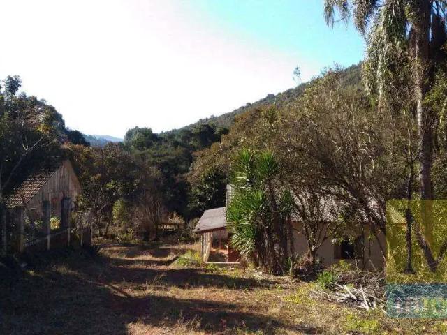 Fazenda venda em Região Geográfica Imediata de União da Vitória, Cruz Machado