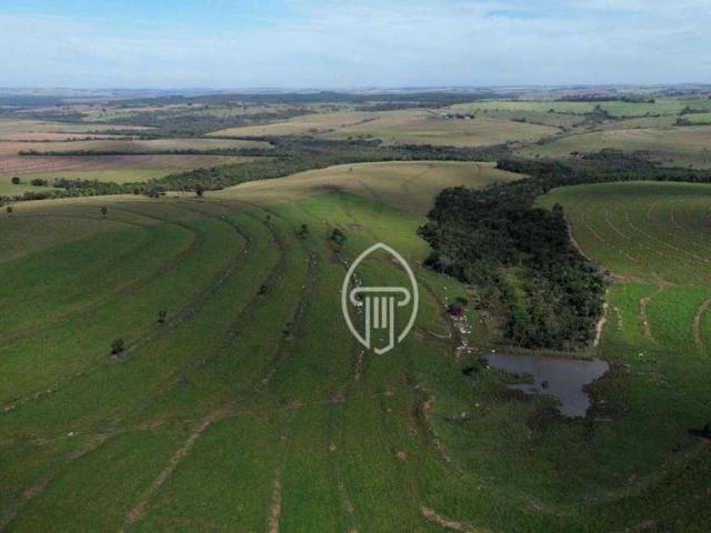 Fazenda venda em Cruzeiro do Oeste, Região Geográfica Intermediária de Maringá