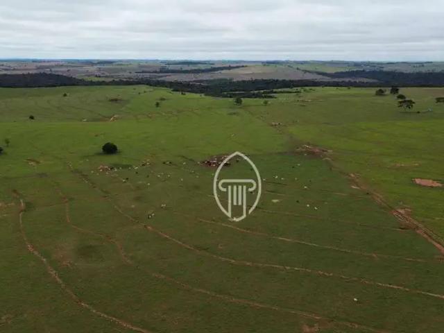 Fazenda venda em Região Geográfica Imediata de Umuarama, Região Metropolitana de Umuarama