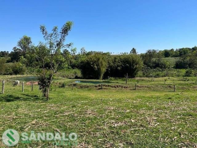 Fazenda venda em Região Geográfica Imediata de Umuarama, Região Metropolitana de Umuarama
