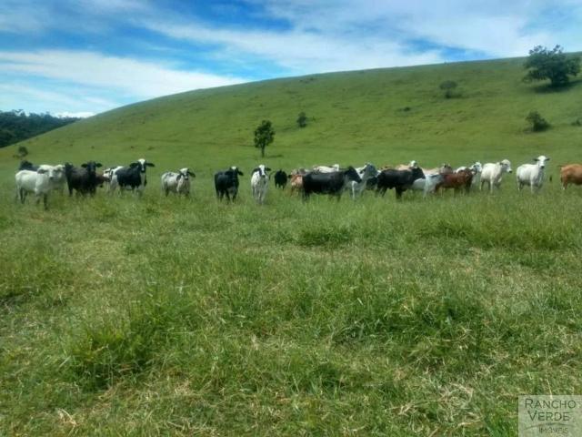 Fazenda venda em Região Imediata de Cruzeiro, Região Metropolitana do Vale do Paraíba e Litoral Norte