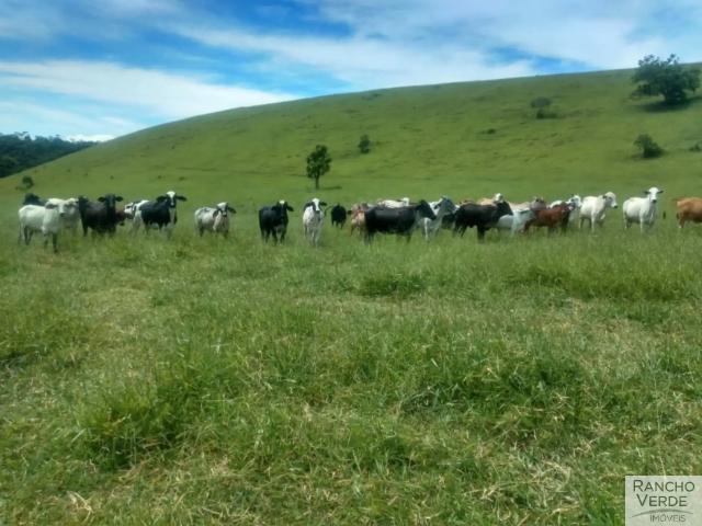 Fazenda venda em Região Imediata de Cruzeiro, Região Metropolitana do Vale do Paraíba e Litoral Norte
