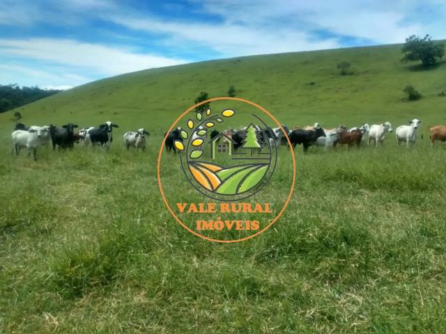 Fazenda venda em Região Imediata de Cruzeiro, Região Metropolitana do Vale do Paraíba e Litoral Norte
