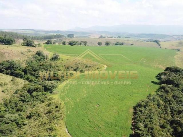 Sítio e chácara venda em Região Geográfica Imediata de Caxambu - Baependi, Cruzília