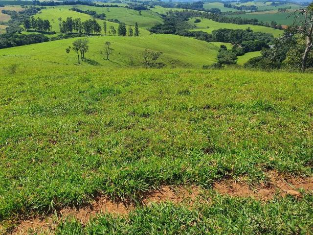 Fazenda venda em Região Geográfica Imediata de Águas Lindas de Goiás, Região Integrada de Desenvolvimento do Distrito Federal e Entorno