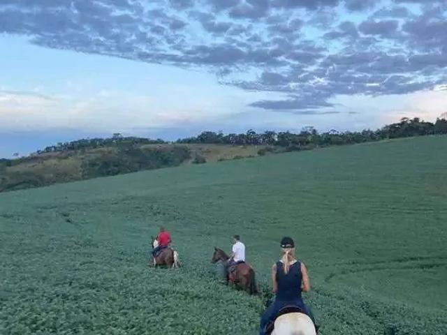 Fazenda venda em Região Geográfica Imediata de Caxambu - Baependi, Cruzília