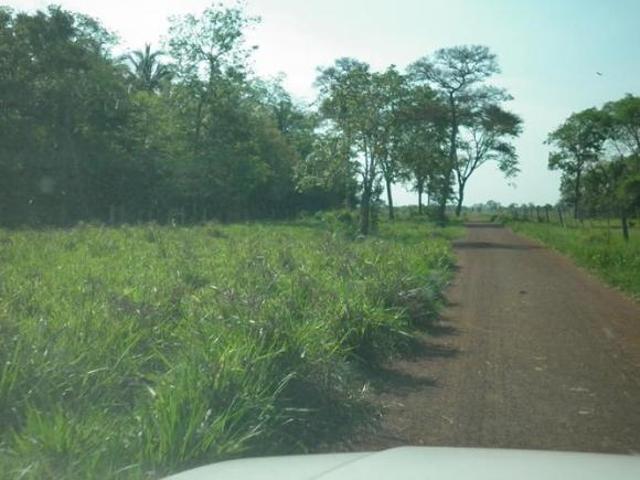 Sítio e chácara venda em Região Geográfica Imediata de Cuiabá, Região Metropolitana do Vale do Rio Cuiabá