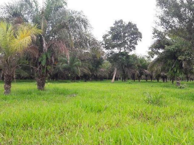 Sítio e chácara venda em Região Geográfica Imediata de Cuiabá, Região Metropolitana do Vale do Rio Cuiabá