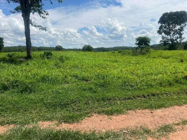 Fazenda venda em Região Geográfica Imediata de Cuiabá, Região Metropolitana do Vale do Rio Cuiabá