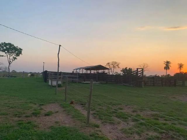 Fazenda venda em Região Geográfica Imediata de Cuiabá, Região Metropolitana do Vale do Rio Cuiabá