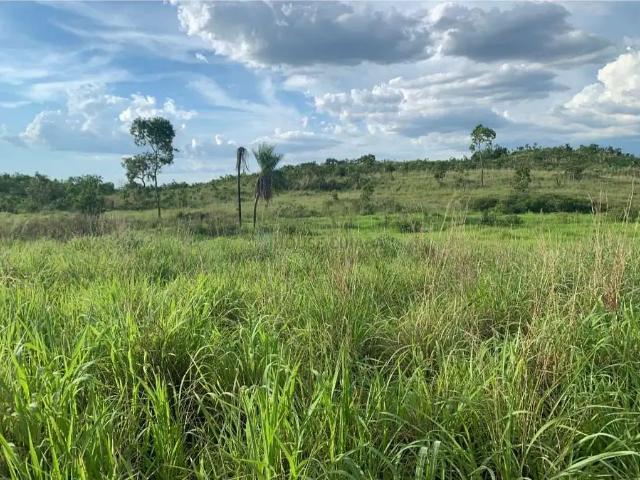 Fazenda venda em Região Geográfica Imediata de Cuiabá, Região Metropolitana do Vale do Rio Cuiabá